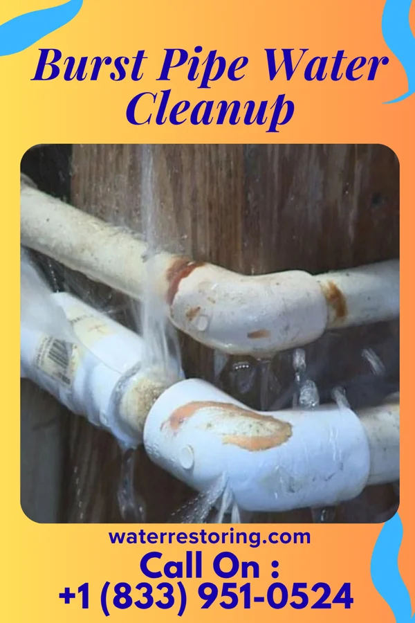 Burst Pipe Water Cleanup in Hudson, MI