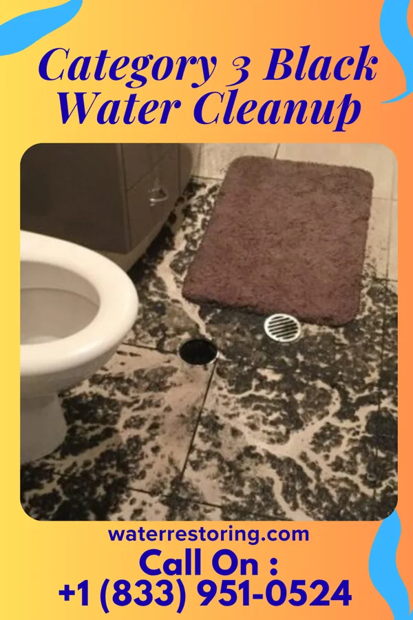 Category 3 Black Water Cleanup in Hudson, MI