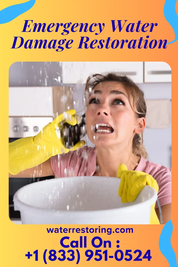 Emergency Water Damage Restoration in Hudson, MI