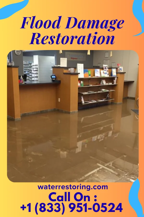 Flood Damage Restoration in Hudson, MI