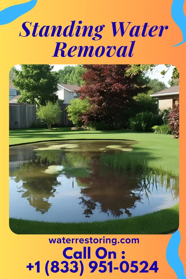 Standing Water Removal in Hudson, MI